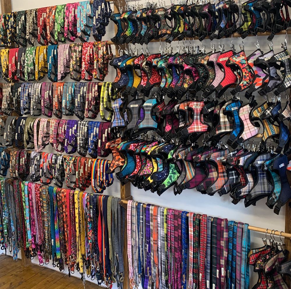 wall rack displaying lots of different coloured handmade dog collar, dog leads and dog harness inside Barkley and Fetch shop
