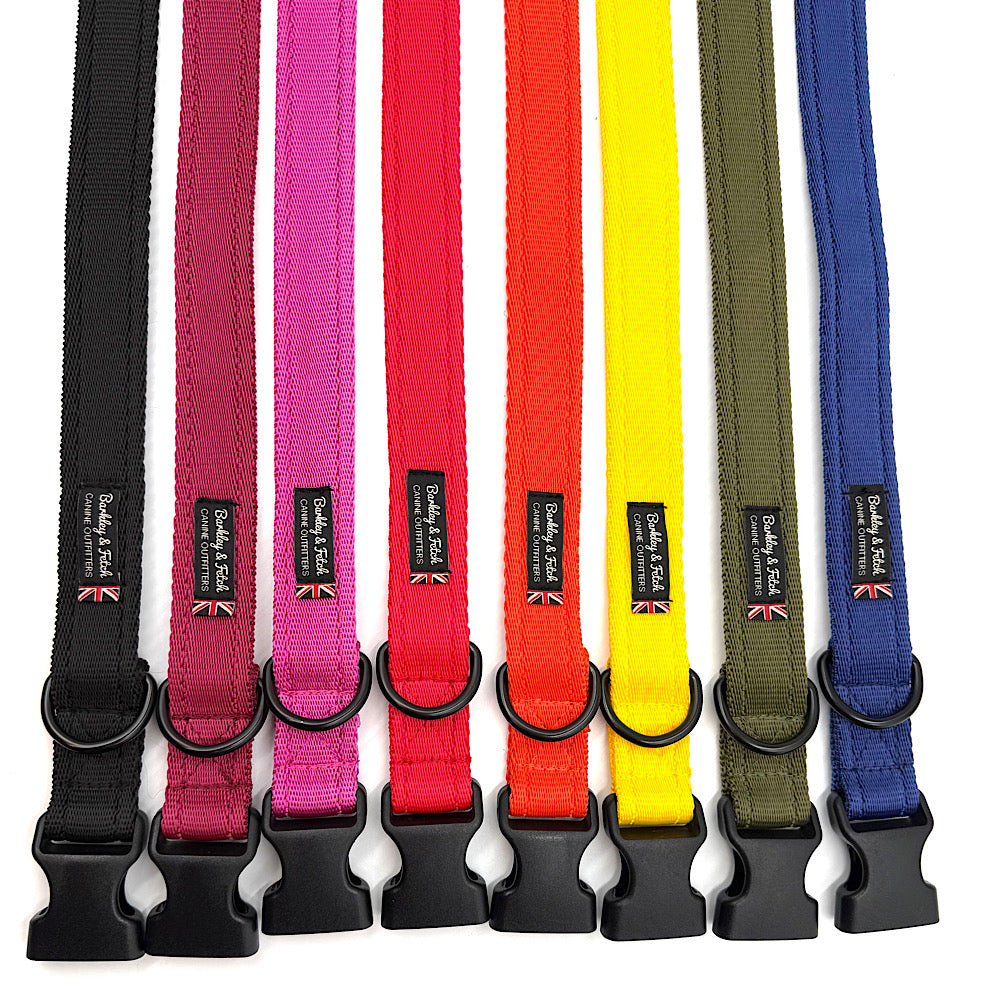 Set of colorful dog collars with black buckles on a white background. Handmade in UK by Barkley and Fetch