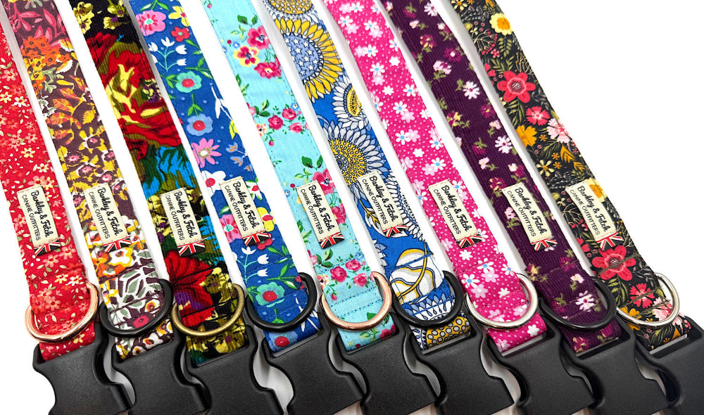 Set of colorful dog collars with floral patterns on a white background