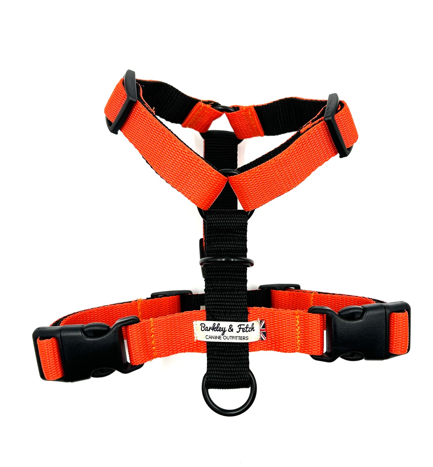 Colour Block Webbing Harness