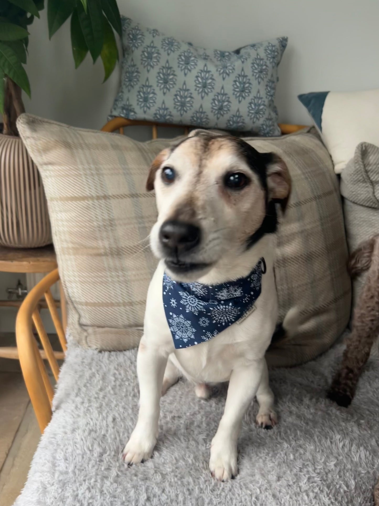 Christmas Snowflake Print Dog Bandana