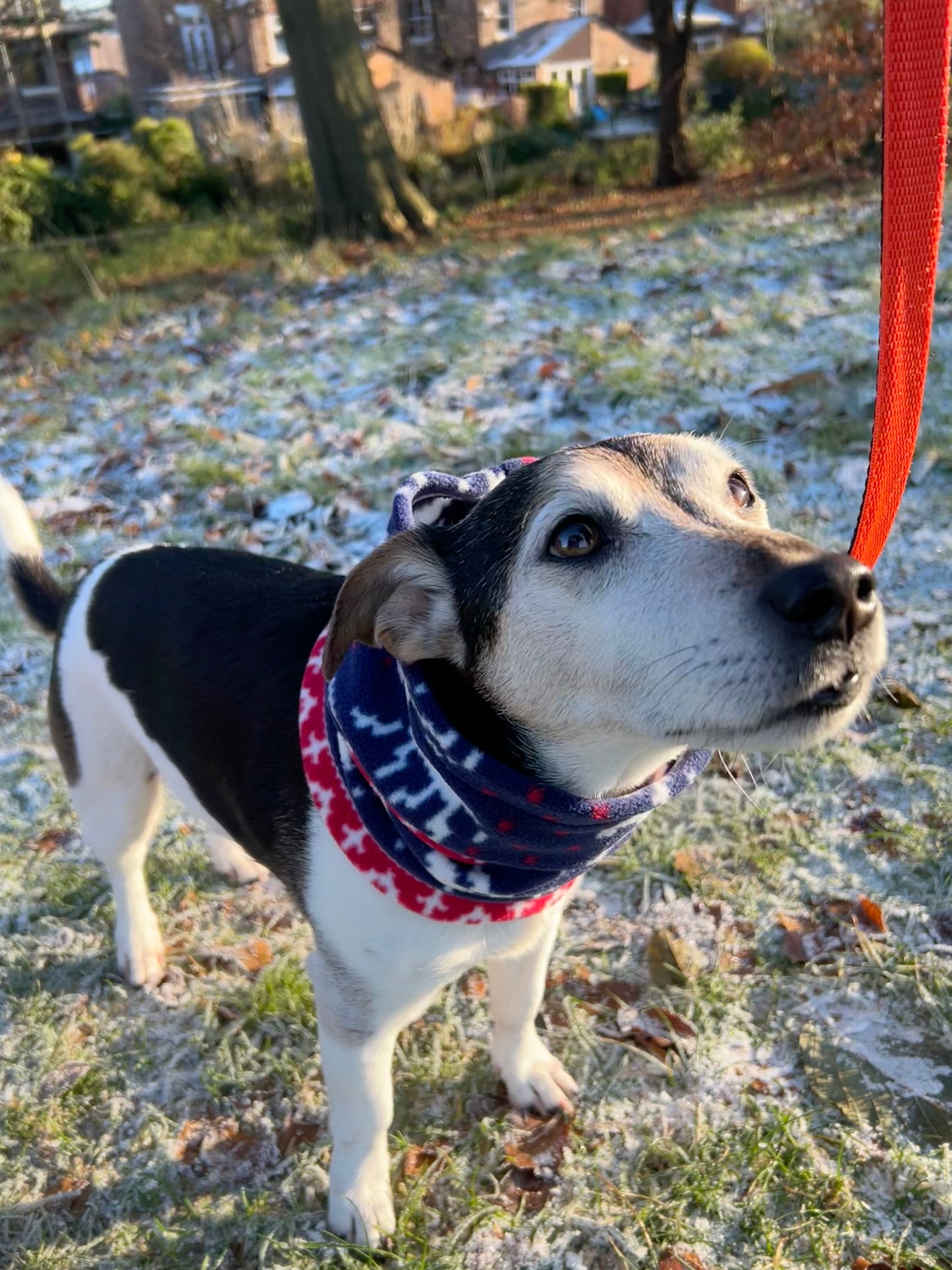 Xmas Fairisle Fleece Dog Snood