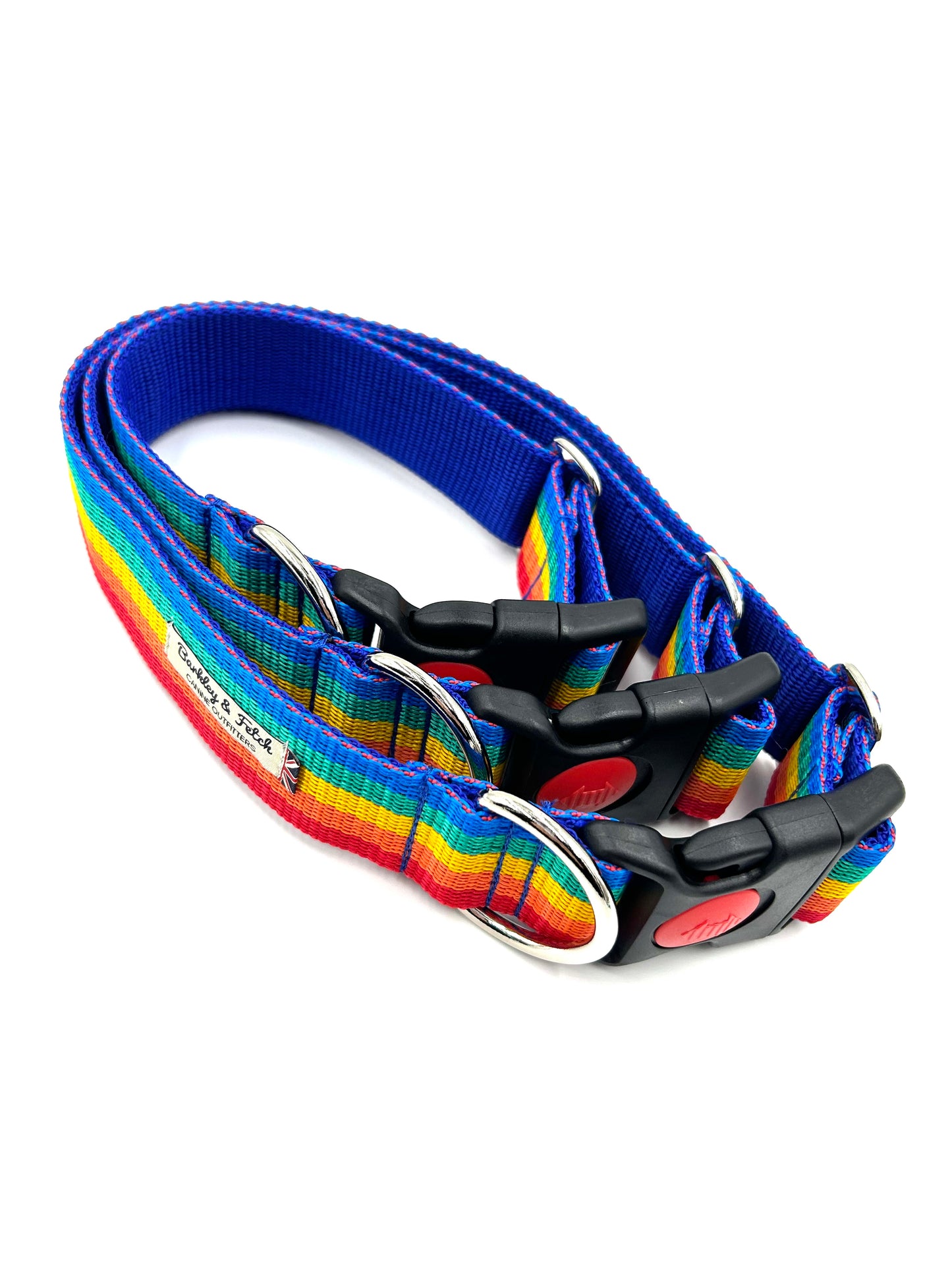 Rainbow Webbing WIDE Dog Collar