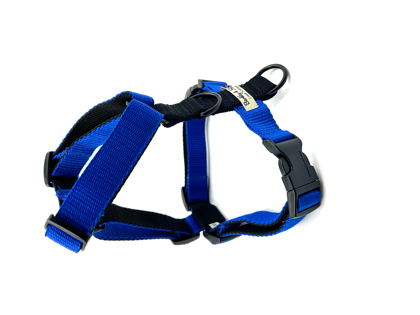 Colour Block Webbing Harness