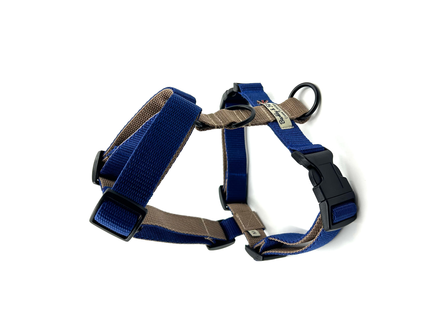 Colour Block Webbing Harness