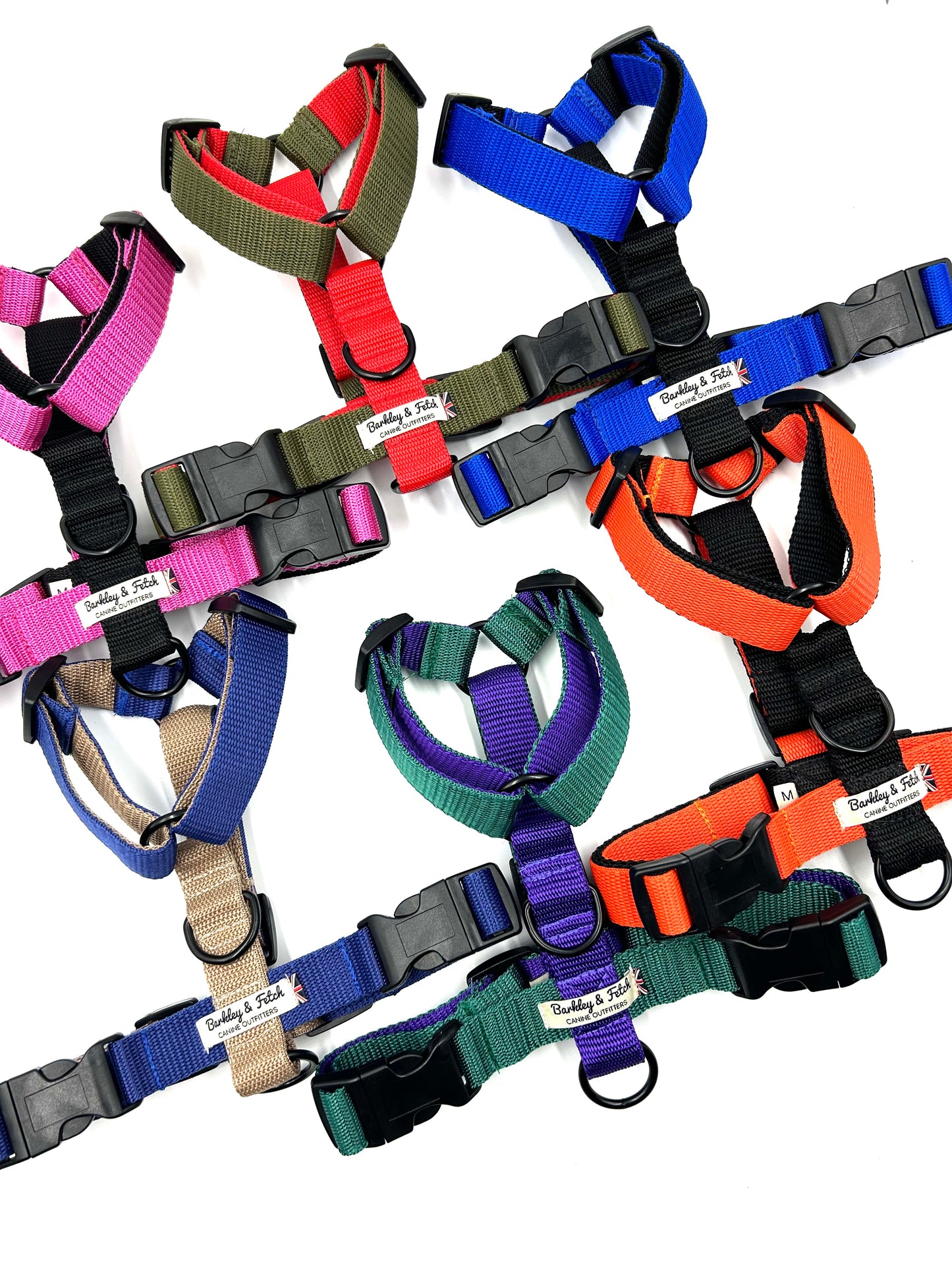 Colour Block Webbing Harness