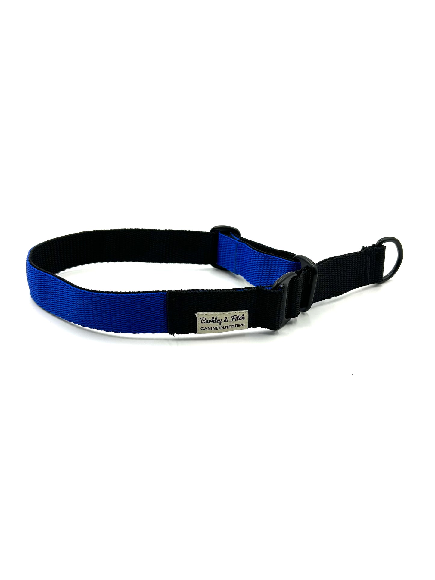 Colour Block Webbing Martingale Collar