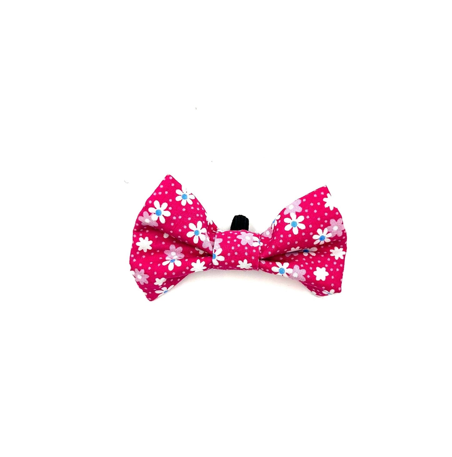 Hot Pink Floral Cat Collar and accessories