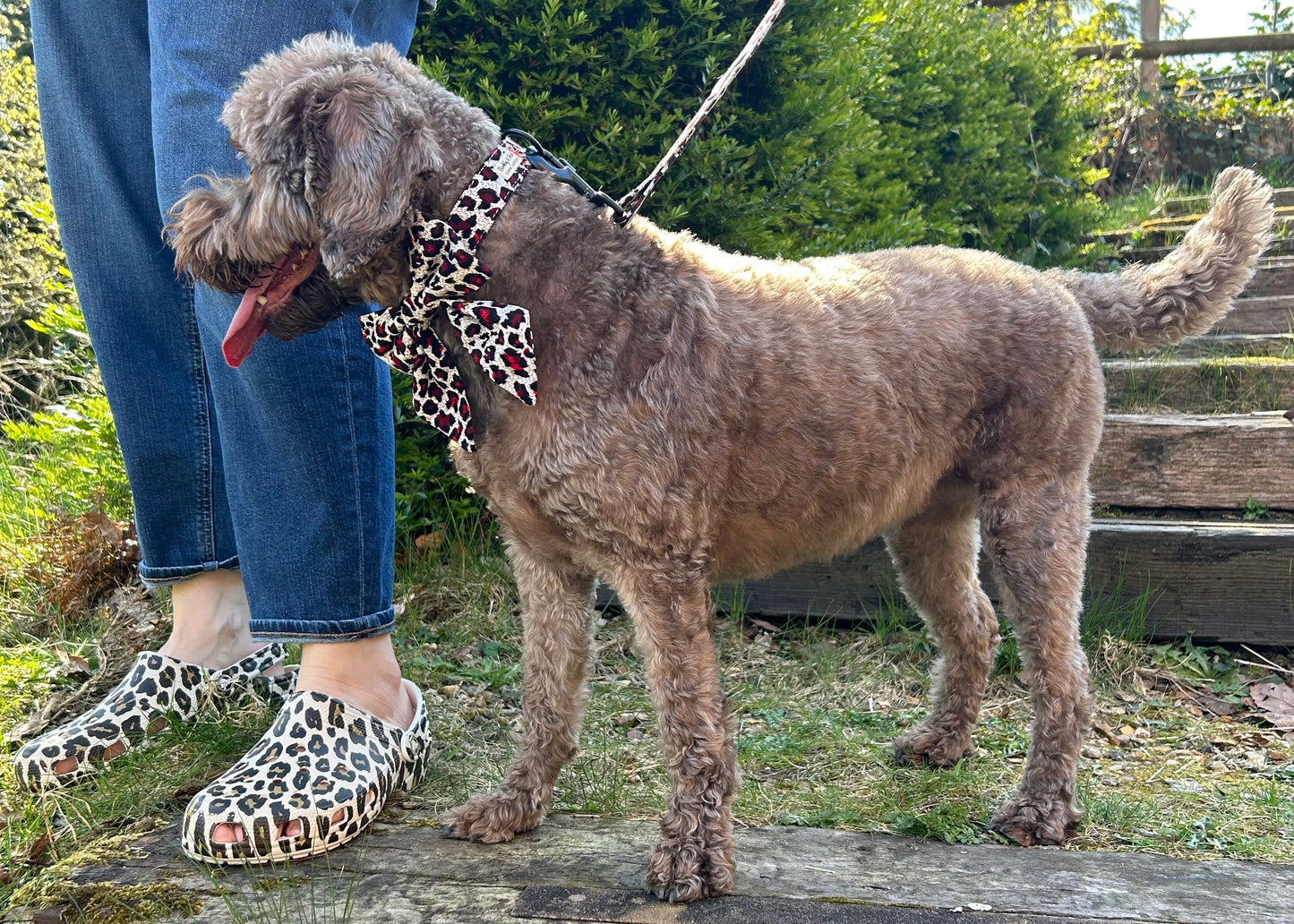 Corduroy Red Leopard Print Dog Sailor Bow