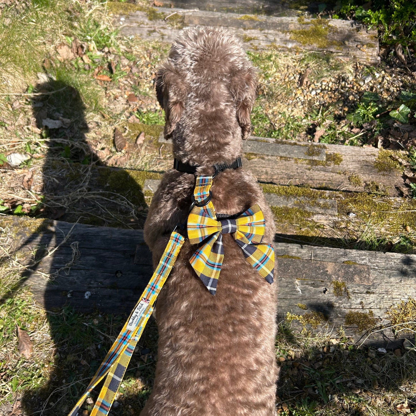 Cornish Tartan Fabric Harness