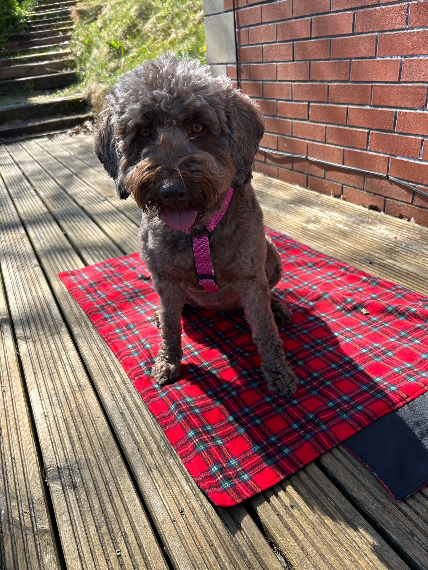 Red Tartan Fleece Large Settle Mat
