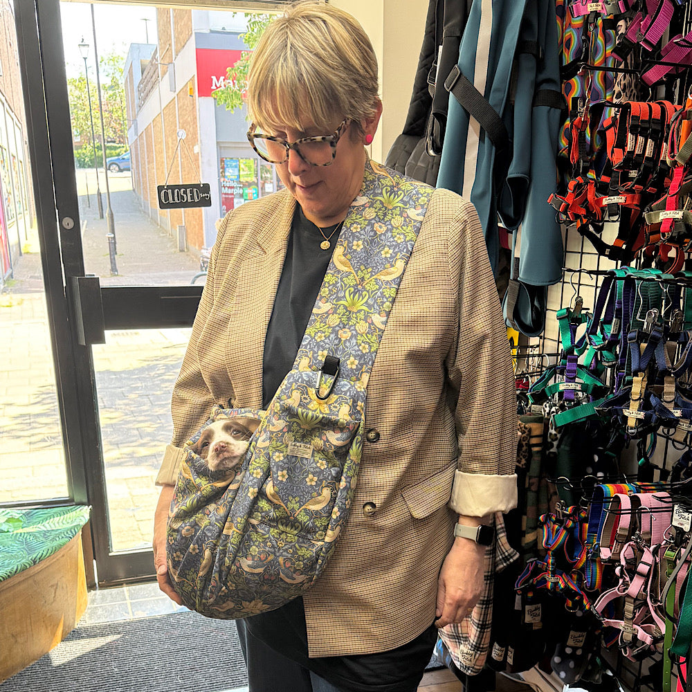 Lady in tweed jacket holding a William morris puppy carrier with a small springer pup inside