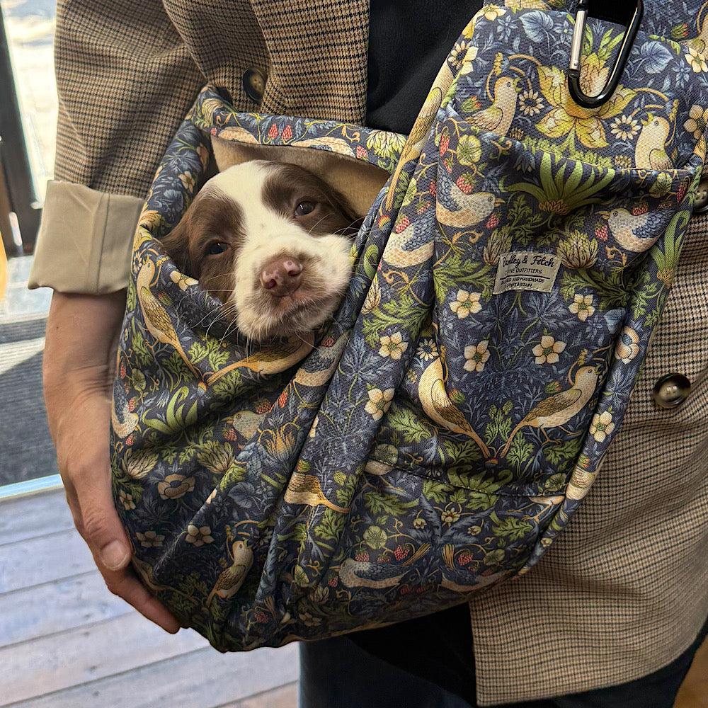 Springer spaniel puppy in a William morris strawberry thief print dog carrier looking straight at the camera
