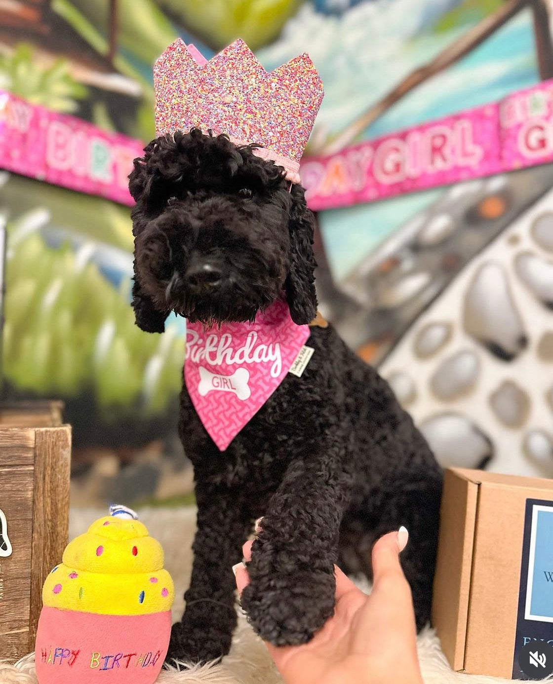 Birthday Dog Bandana Girl