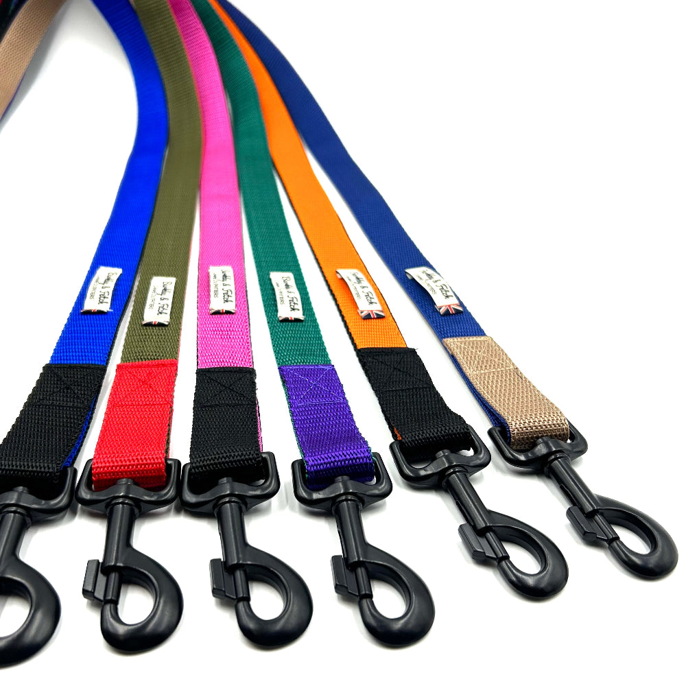 Colour Block Webbing Lead