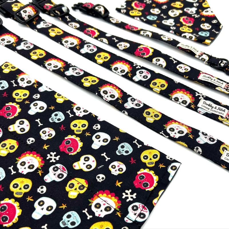 Colorful skull-patterned dog collars and leashes on a white background