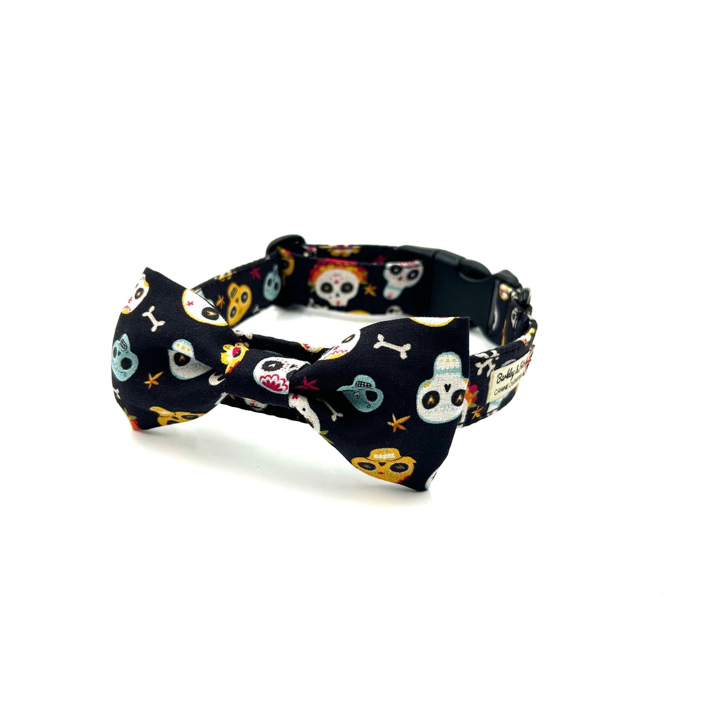 Dog collar with skull and crossbones pattern on a white background