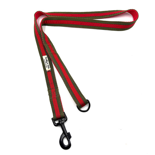 Red and green striped dog leash with a black clip on a white background