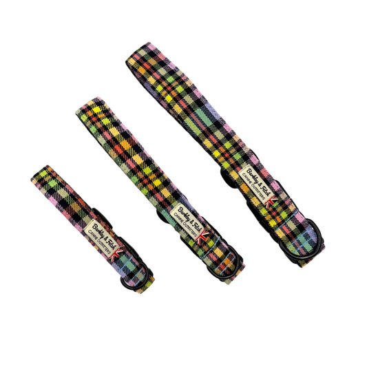 Plaid dog collar and leash set with visible brand label on a white background