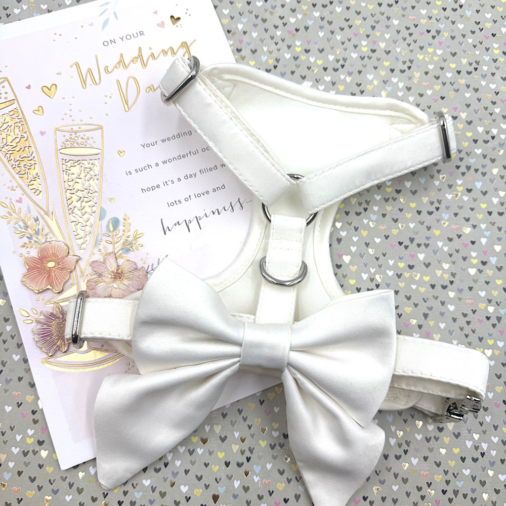 Ivory Bridal Lace Wedding Dog Harness
