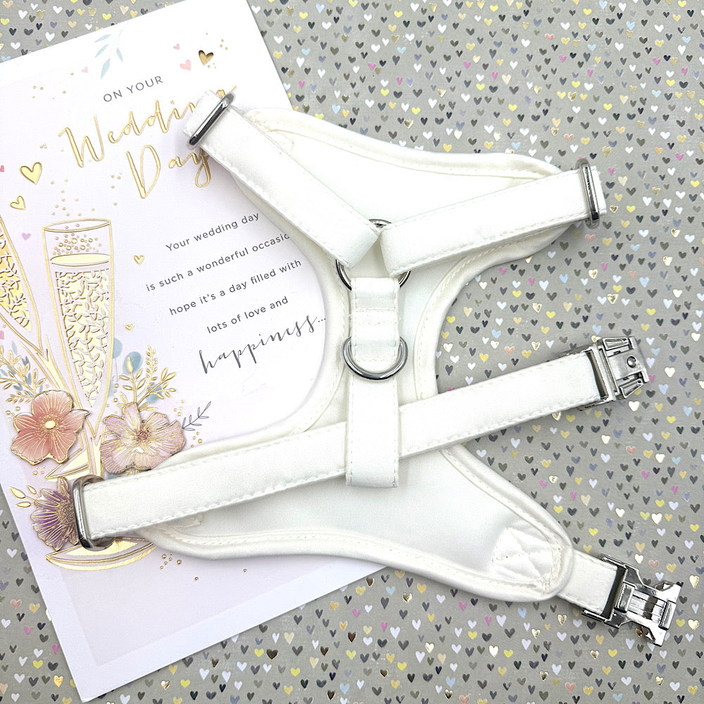 Ivory Bridal Lace Wedding Dog Harness