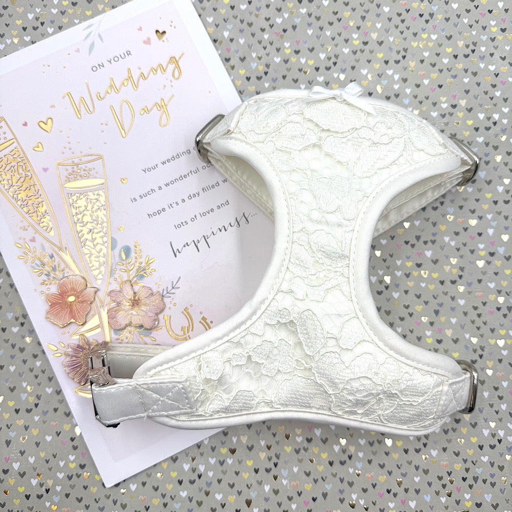 Ivory Bridal Lace Wedding Dog Harness