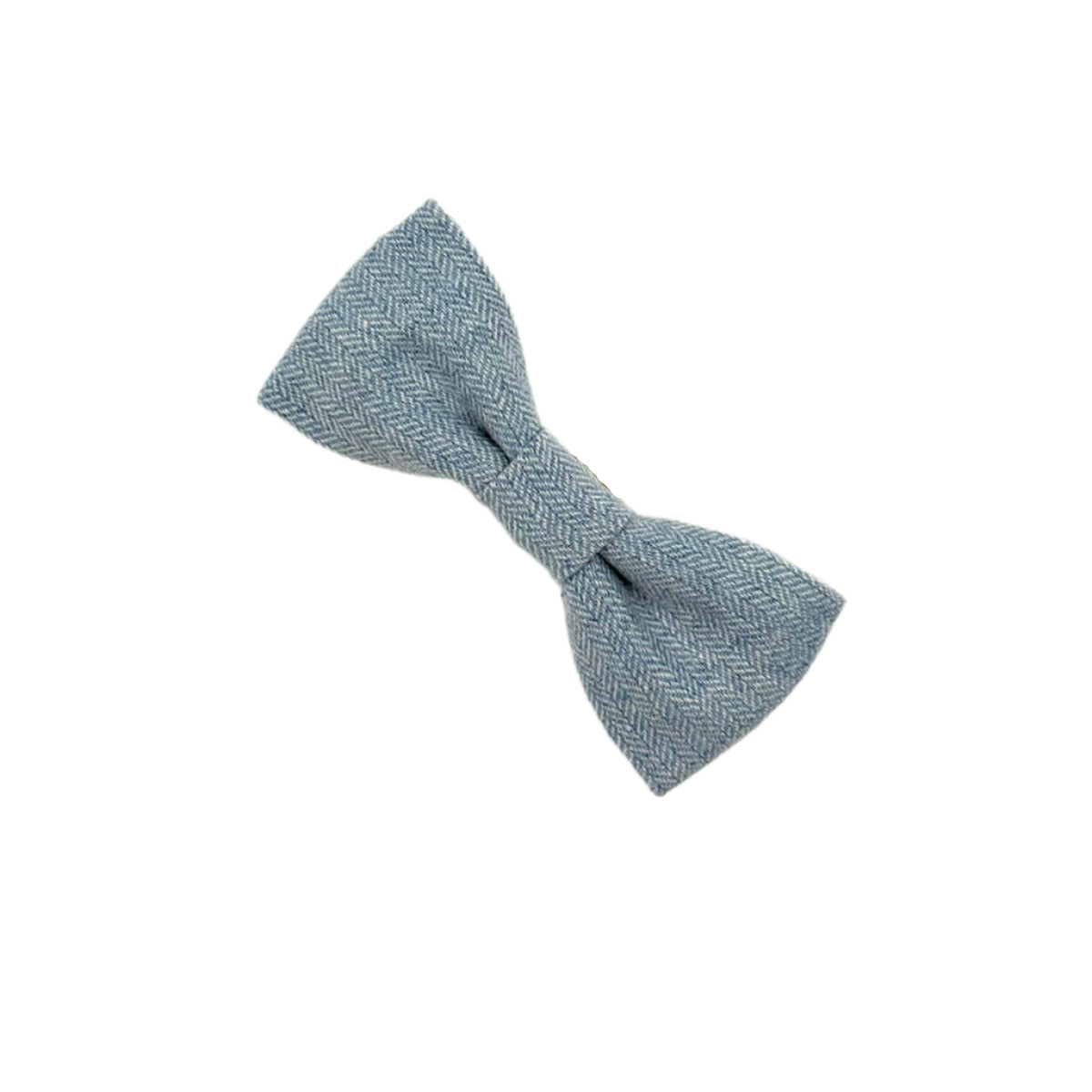 Blue bow tie on a white background