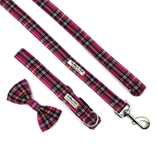 Plaid dog leash and bow tie set on a white background