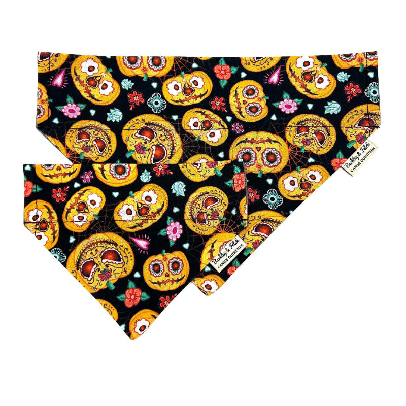 Dog bandana with colorful skull design on a black background handmade by barkley and fetch uk