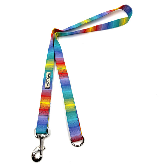 Multicolored striped dog leash with metal clip on a white background