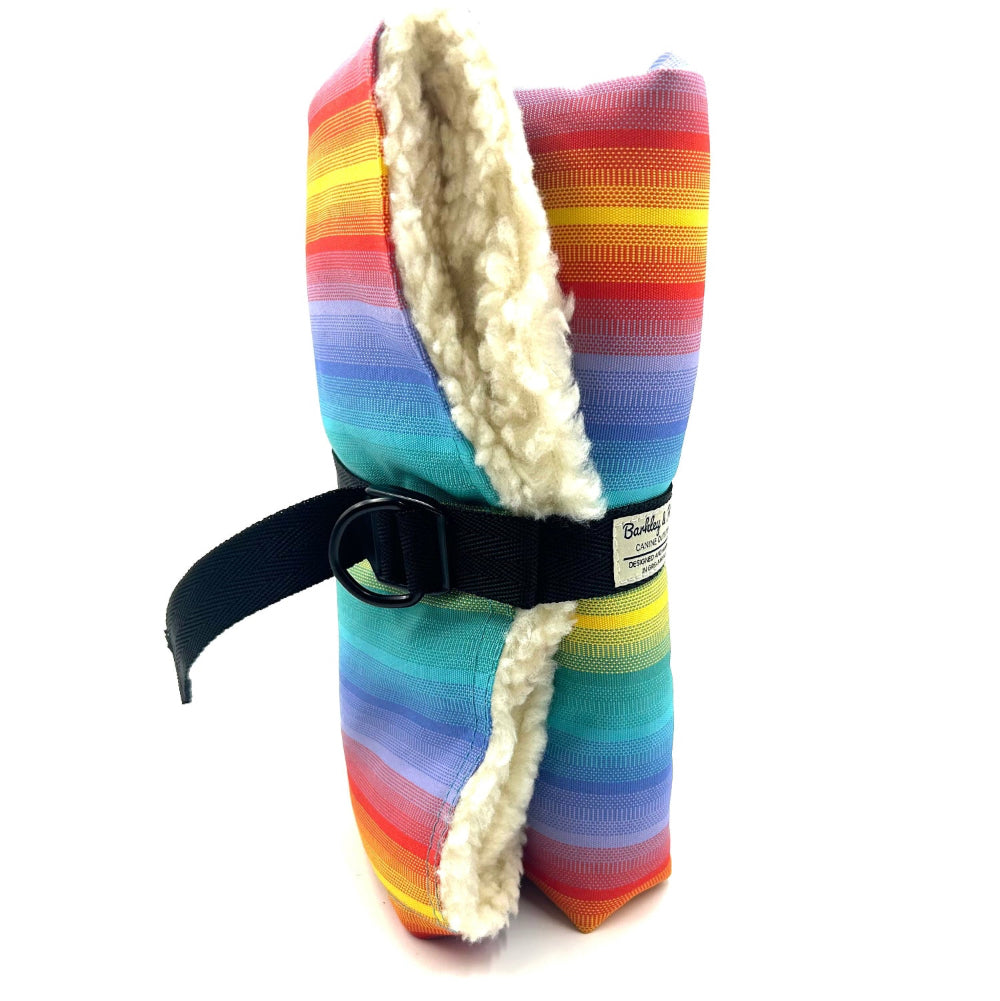 Multicolored striped dog coat with white fur lining and black buckle on a white background