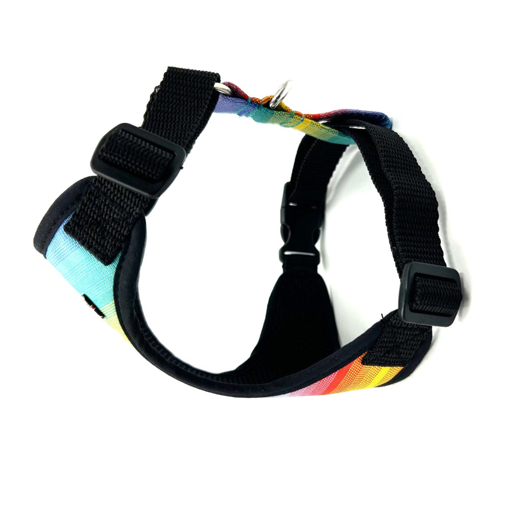 rainbow dog harness with colorful rainbow pattern on a white background handmade by barkley and fetch uk
