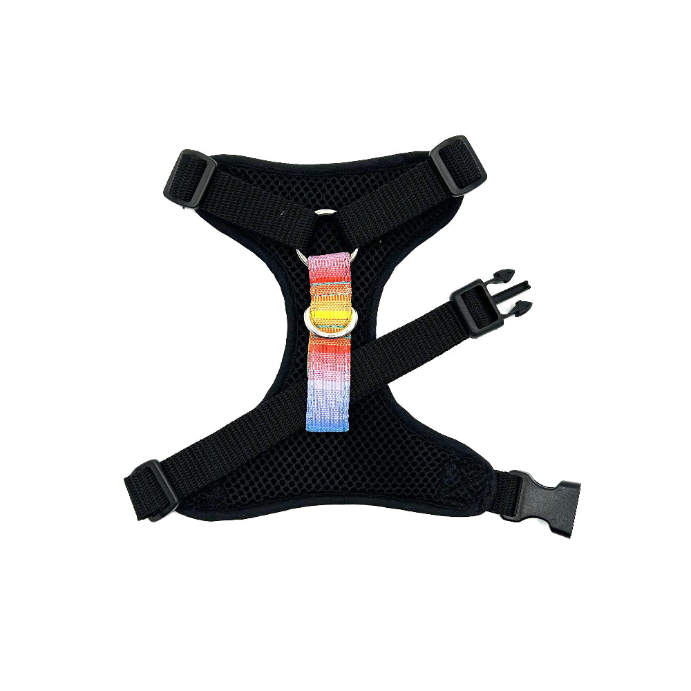 Black dog harness with colourful strap on a white background handmade by barkley and fetch uk