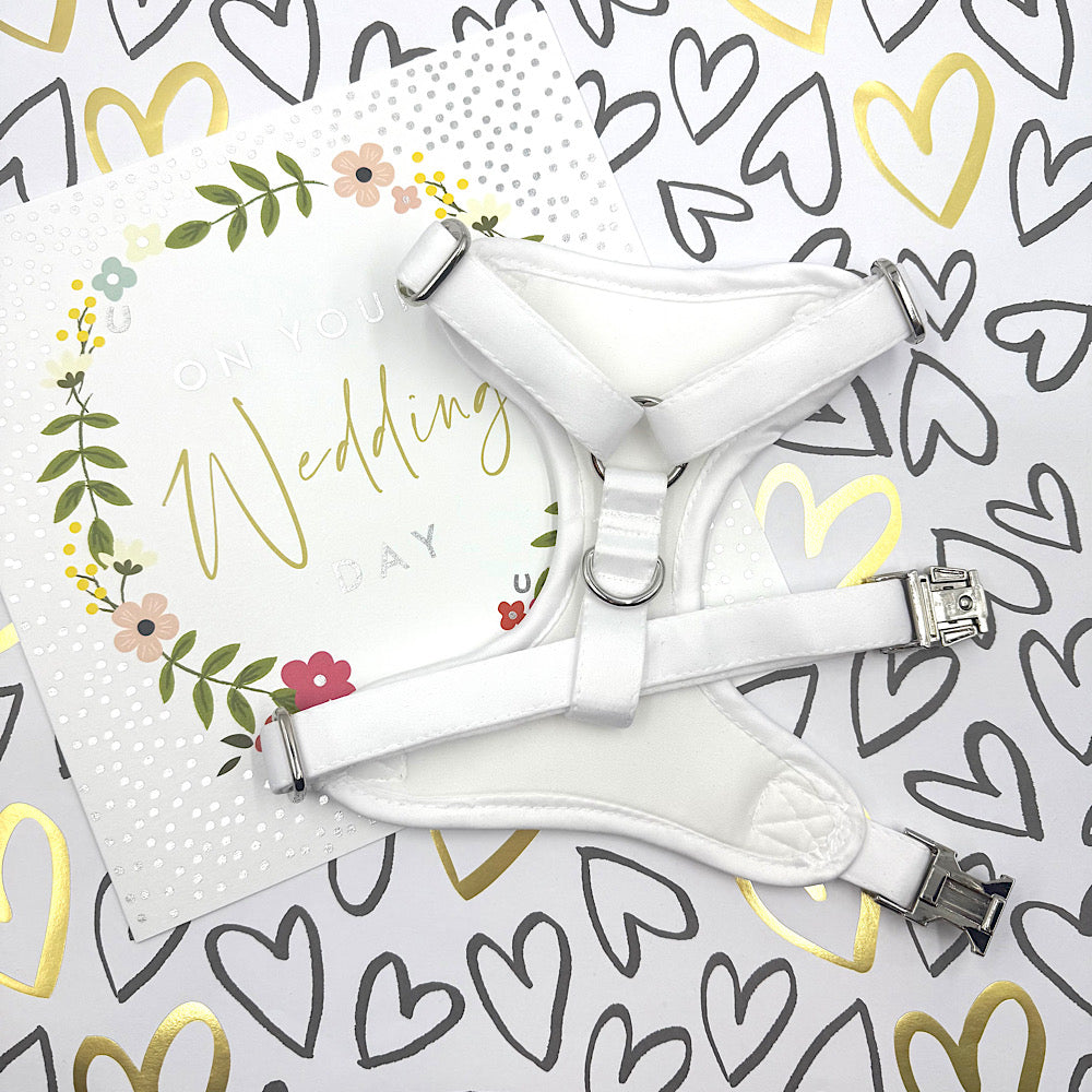 White Bridal Lace Wedding Dog Harness