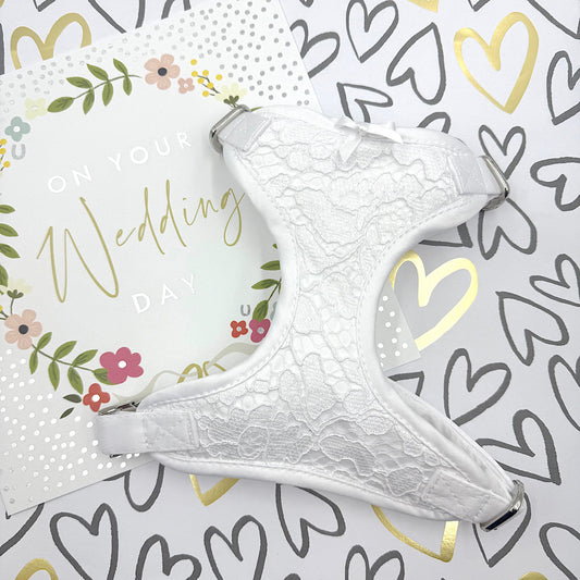 White lace dog harness on a decorative card with hearts and flowers handmade by barkley and fetch uk