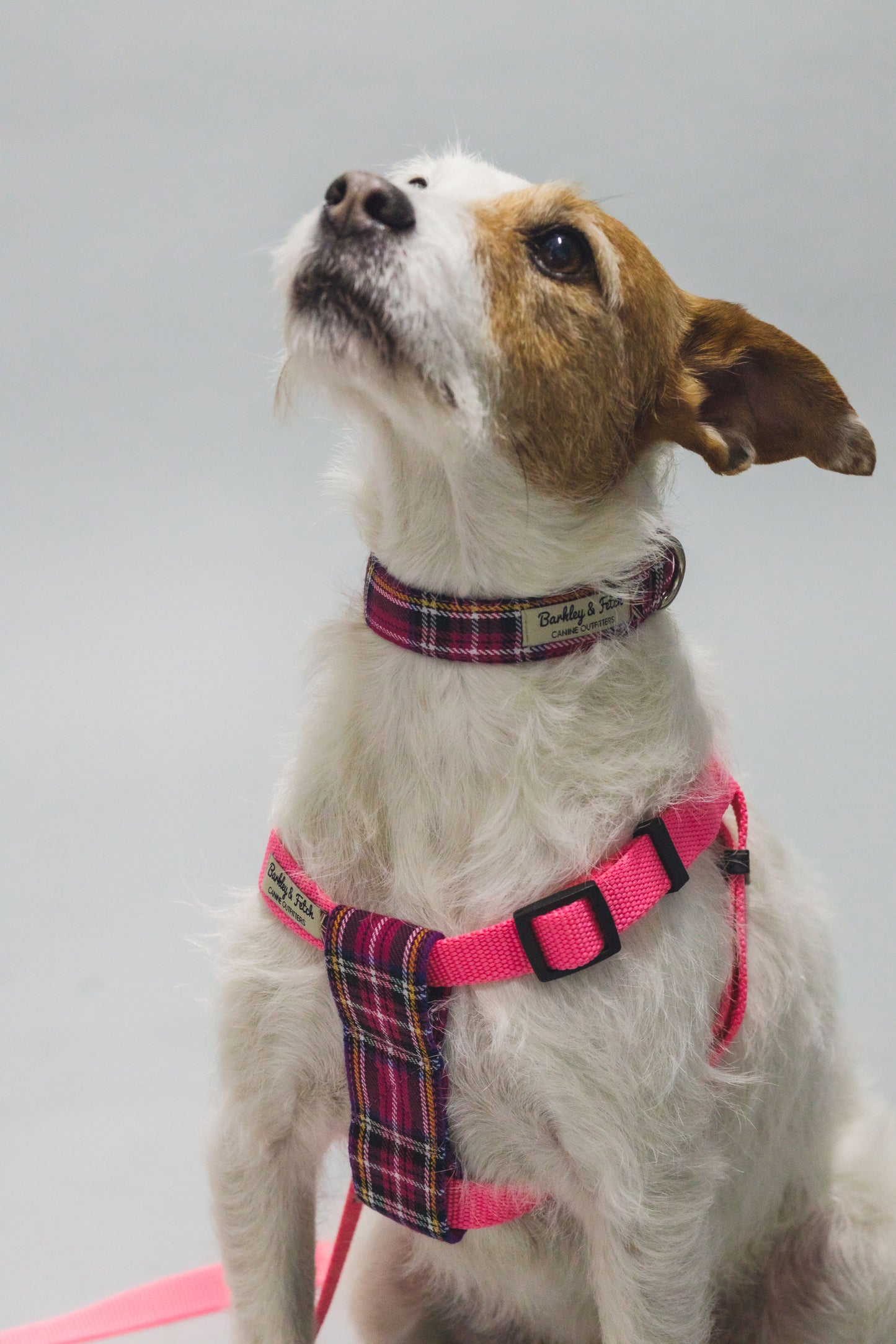 Bright Pink Tartan Dog Collar