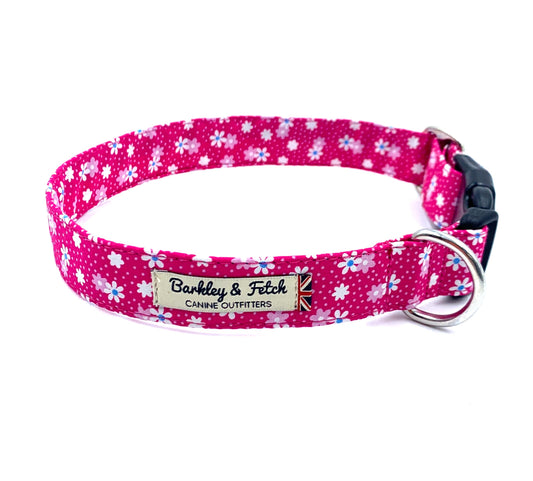Hot Pink Floral Print Dog Collar