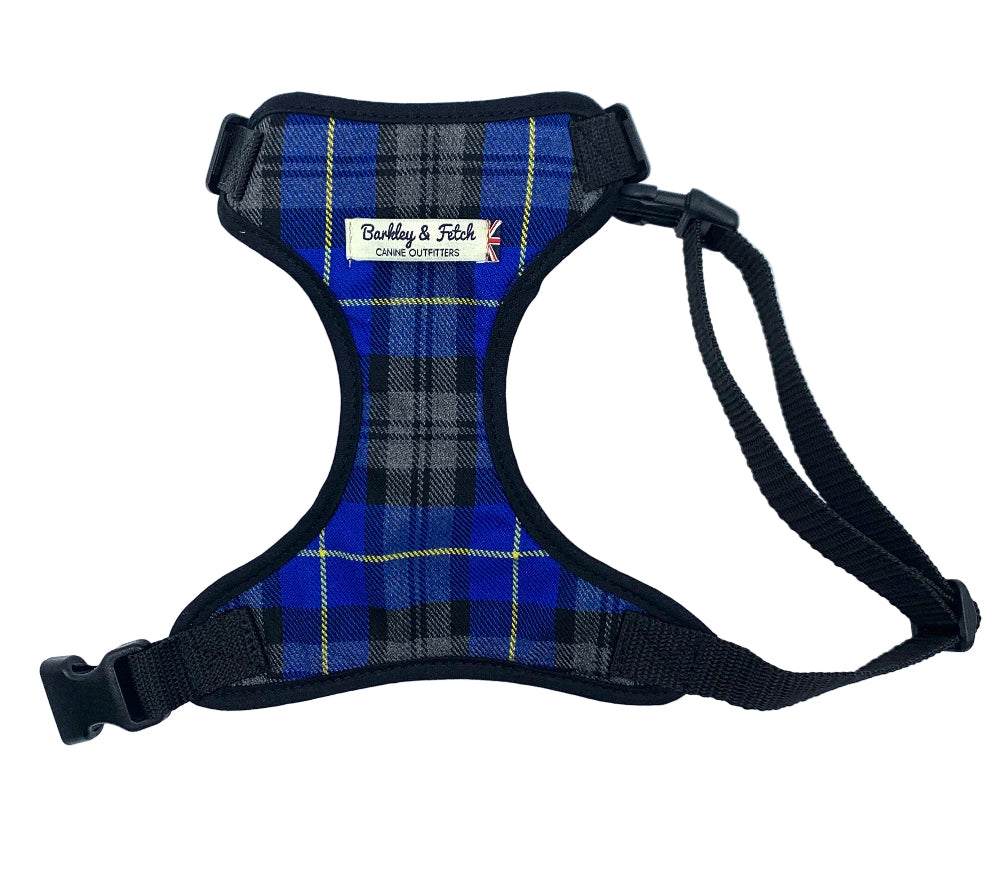 A dog harness with a royal blue tartan pattern, black trim, and adjustable straps, featuring a side release buckle and a heavy duty d-ring.
