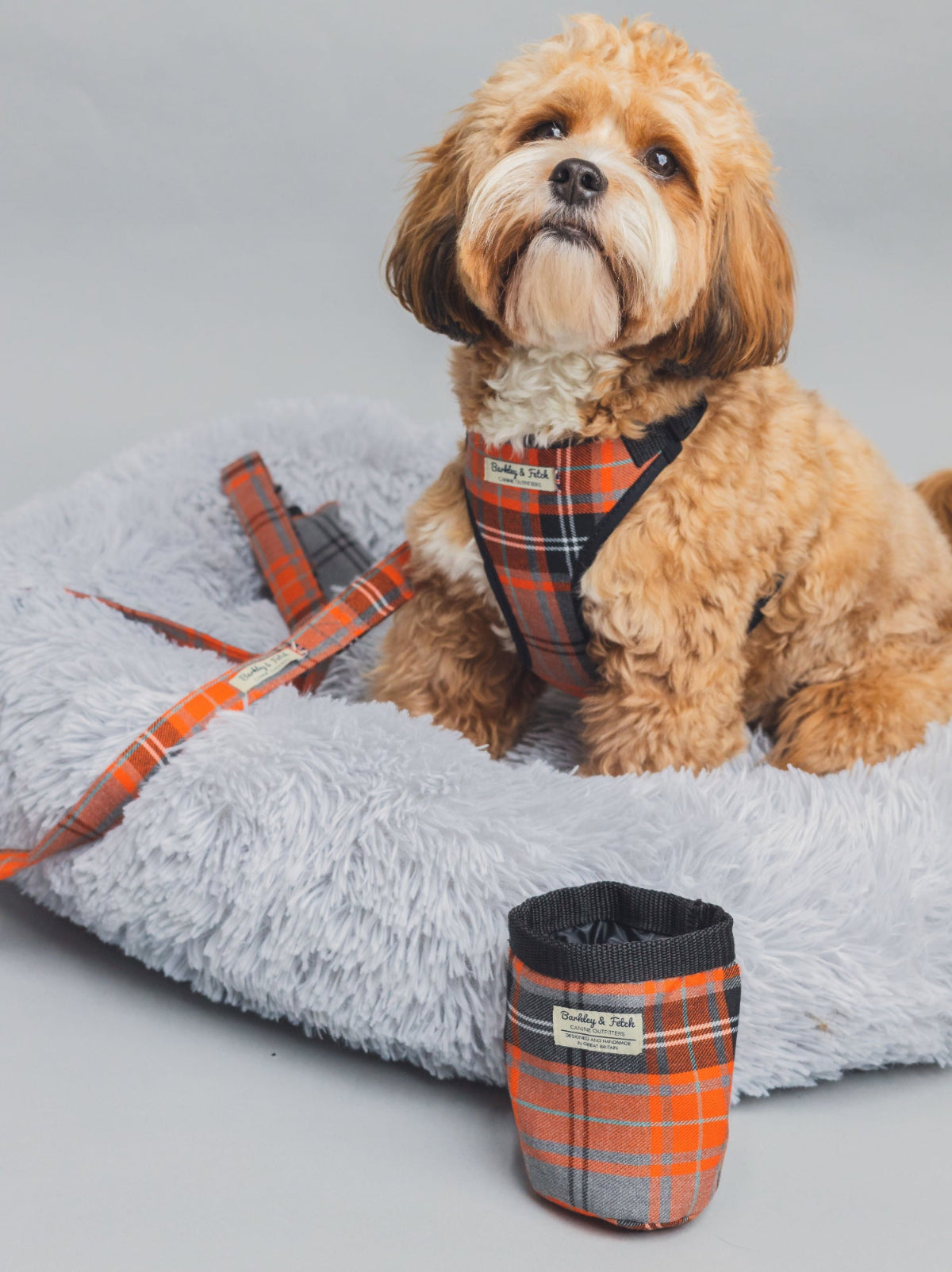 Dog wearing a plaid harness and sitting on a gray bed with a matching cup beside it.