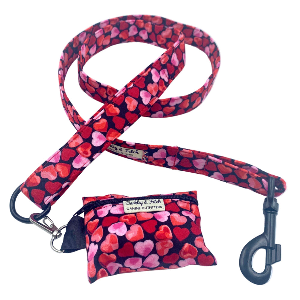 Heart-patterned dog leash and pouch set on a white background