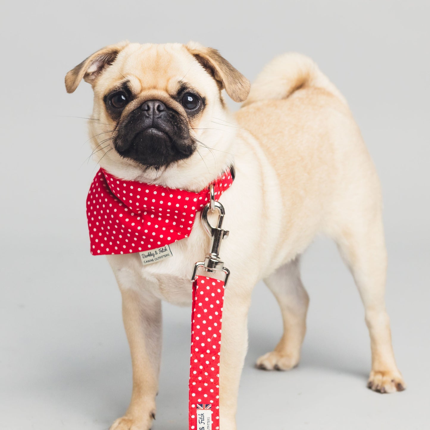 Red Spot Print Dog Collar