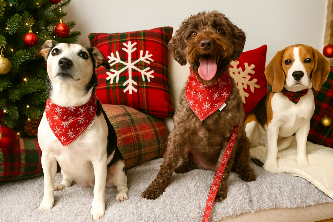 3 ai altered dogs on a sofa wearing Christmas attire by barkley and fetch