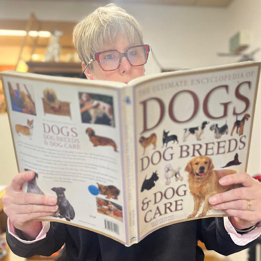 10 Years of Barkley & Fetch | From One Idea to a Handmade Dog Brand