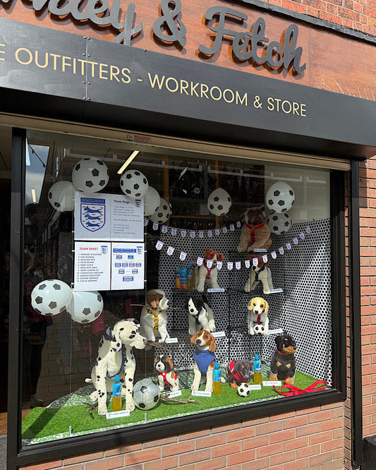 The Most Nerve-Racking Window We've Ever Created!