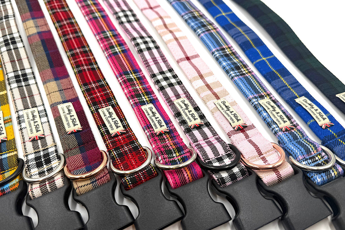 How to Care for Your Handmade Fabric Dog Collar, Lead & Harness