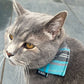 Turquoise/Grey Tartan Cat Collar and accessories