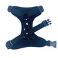 black dog harness with star patterns on a white background
