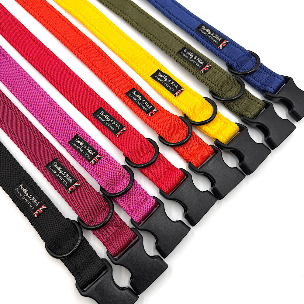 Essential Cushion Webbing Dog Collar