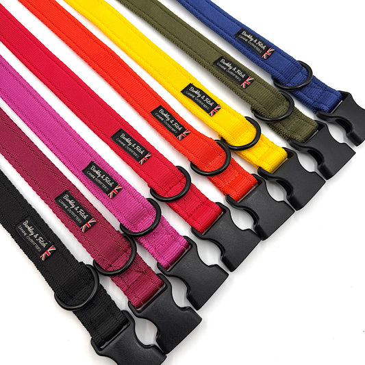 Essential Cushion Webbing Dog Collar