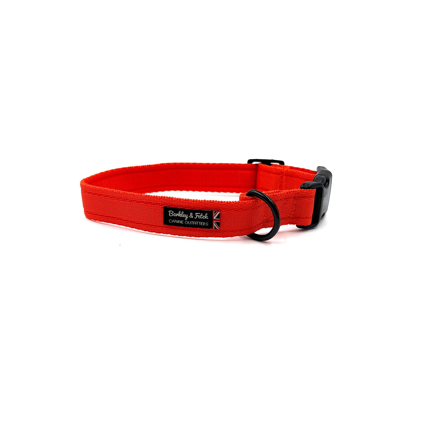 Essential Cushion Webbing Dog Collar